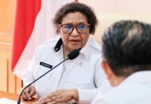 Wamendagri Dukung Kelancaran Pemungutan Suara Ulang Pilkada Yang Digelar Pada Tanggal 5 – 9 April