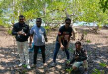 Partai Kebangkitan Nusantara Alor Gelar Aksi Bakti Sosial Penanaman Bakau Dalam Rangka HUT ke-4 Bertepatan Dengan Hari Sumpah Pemuda